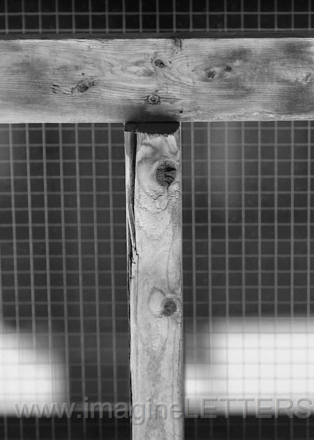 Wall_Art_Alphabet_Photography_Art_ 2174.jpg